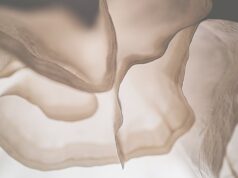 釜山APM:忘れられたモスリンの歴史