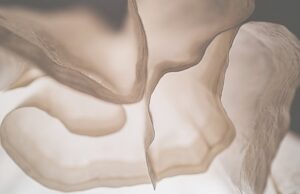 釜山APM:忘れられたモスリンの歴史