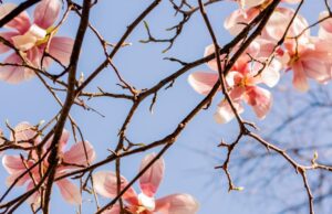 スマートグラス競争勃発